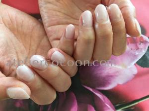 AE13BE99-0450-4F4B-BD88-845DDE6381A8