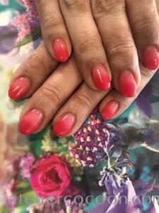 D2A9F378-4783-4B45-A399-D394ACE71B8A